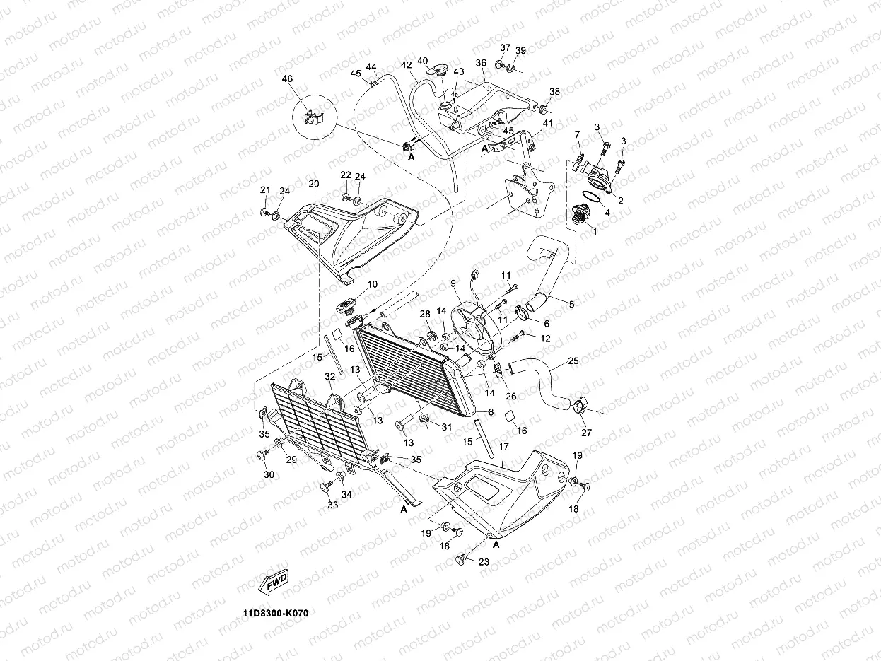 RADIATOR & HOSE