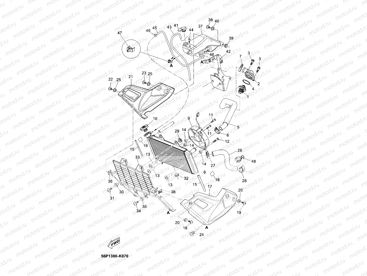 RADIATOR & HOSE