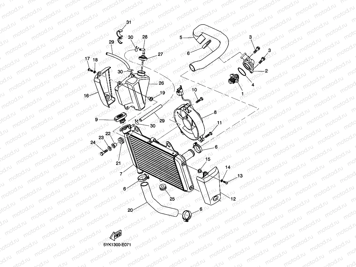 RADIATOR & HOSE