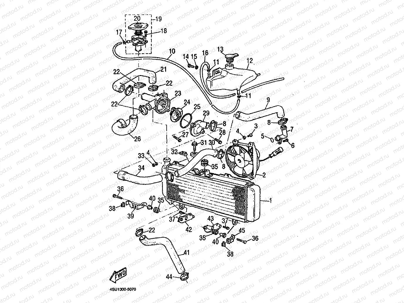 RADIATOR & HOSE