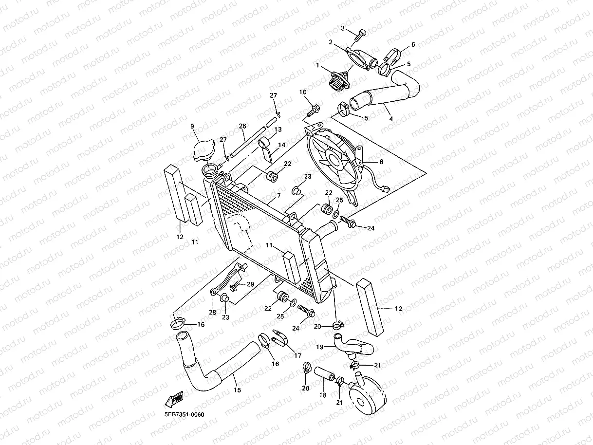 RADIATOR & HOSE