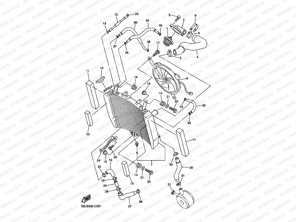 RADIATOR & HOSE