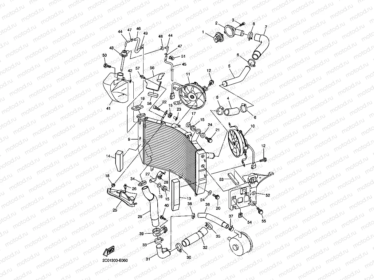 RADIATOR & HOSE