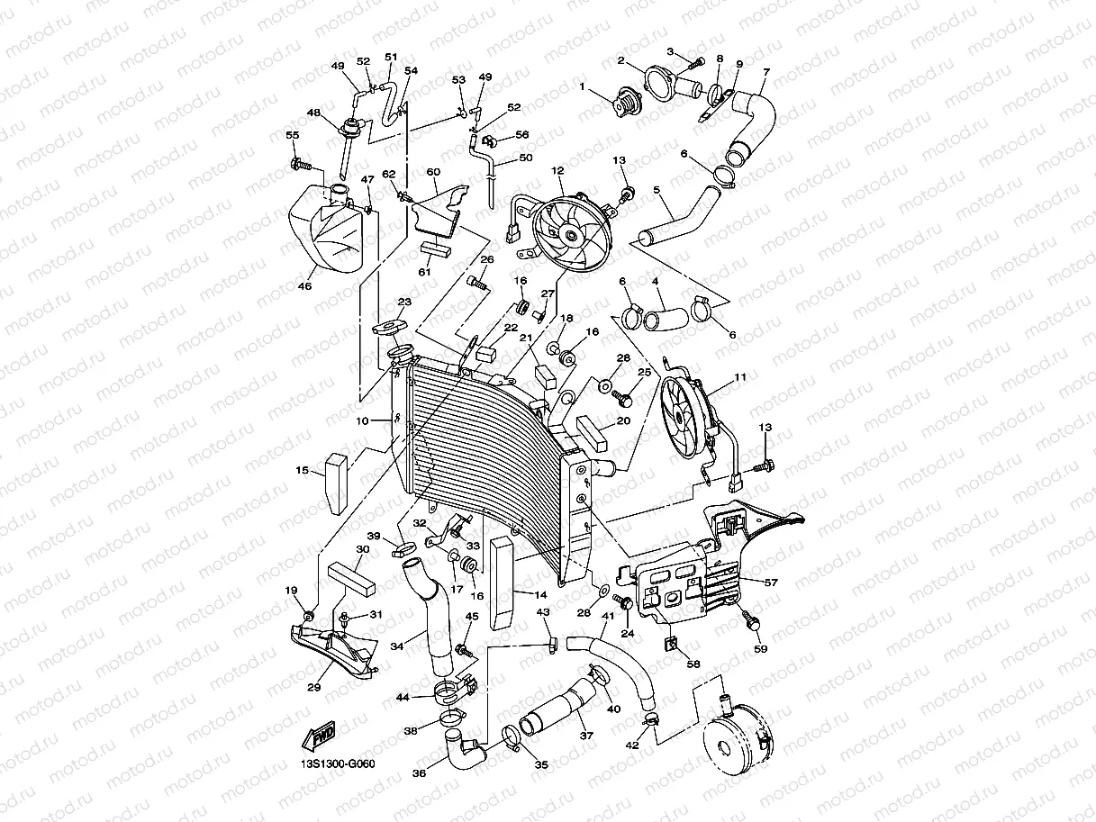 RADIATOR & HOSE