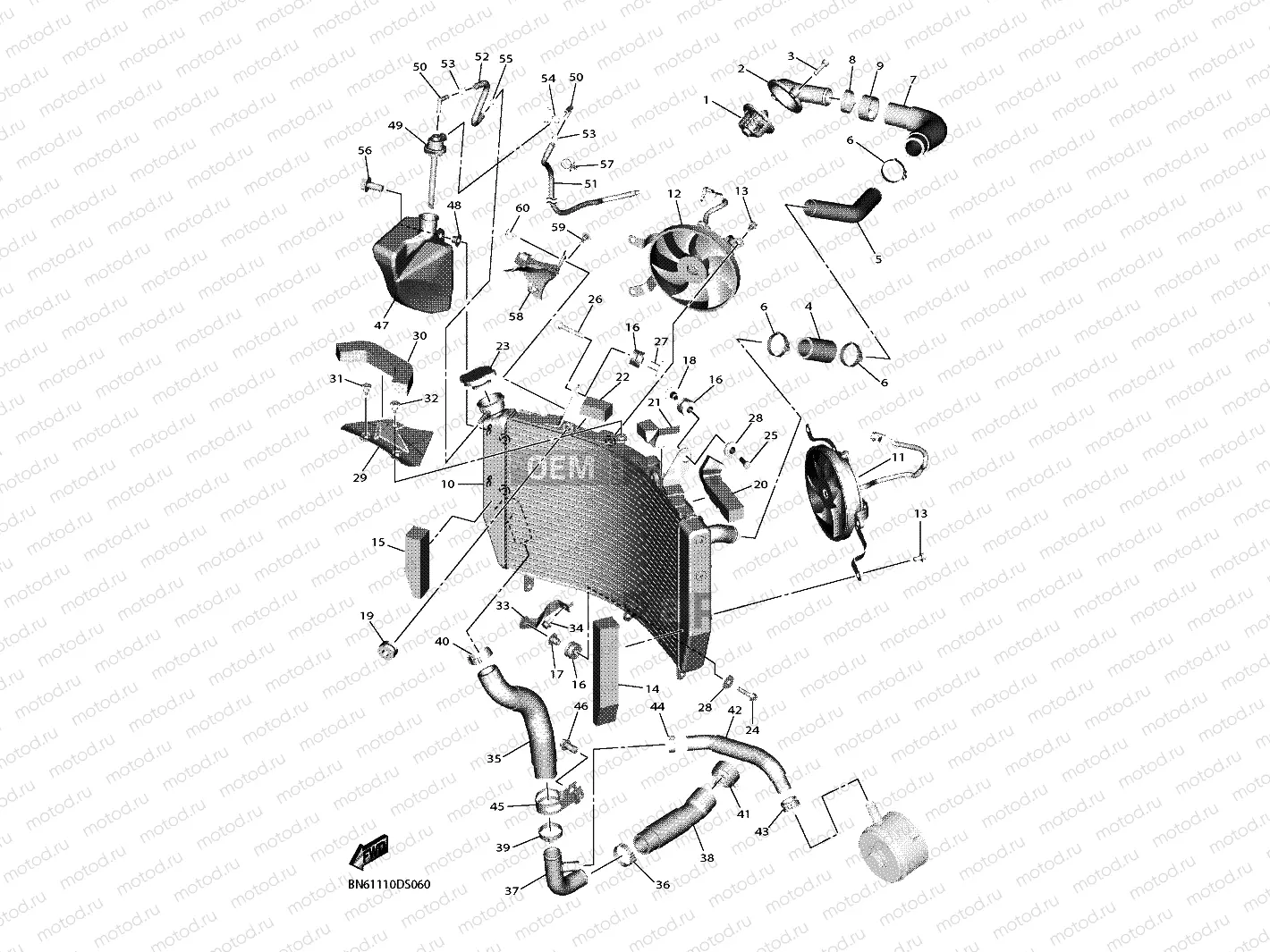 RADIATOR & HOSE