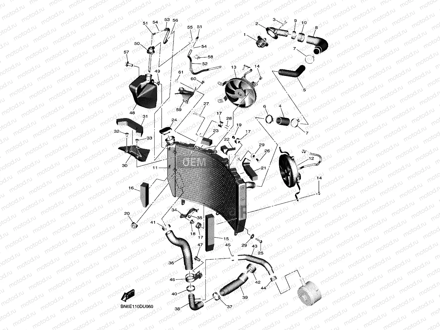 RADIATOR & HOSE