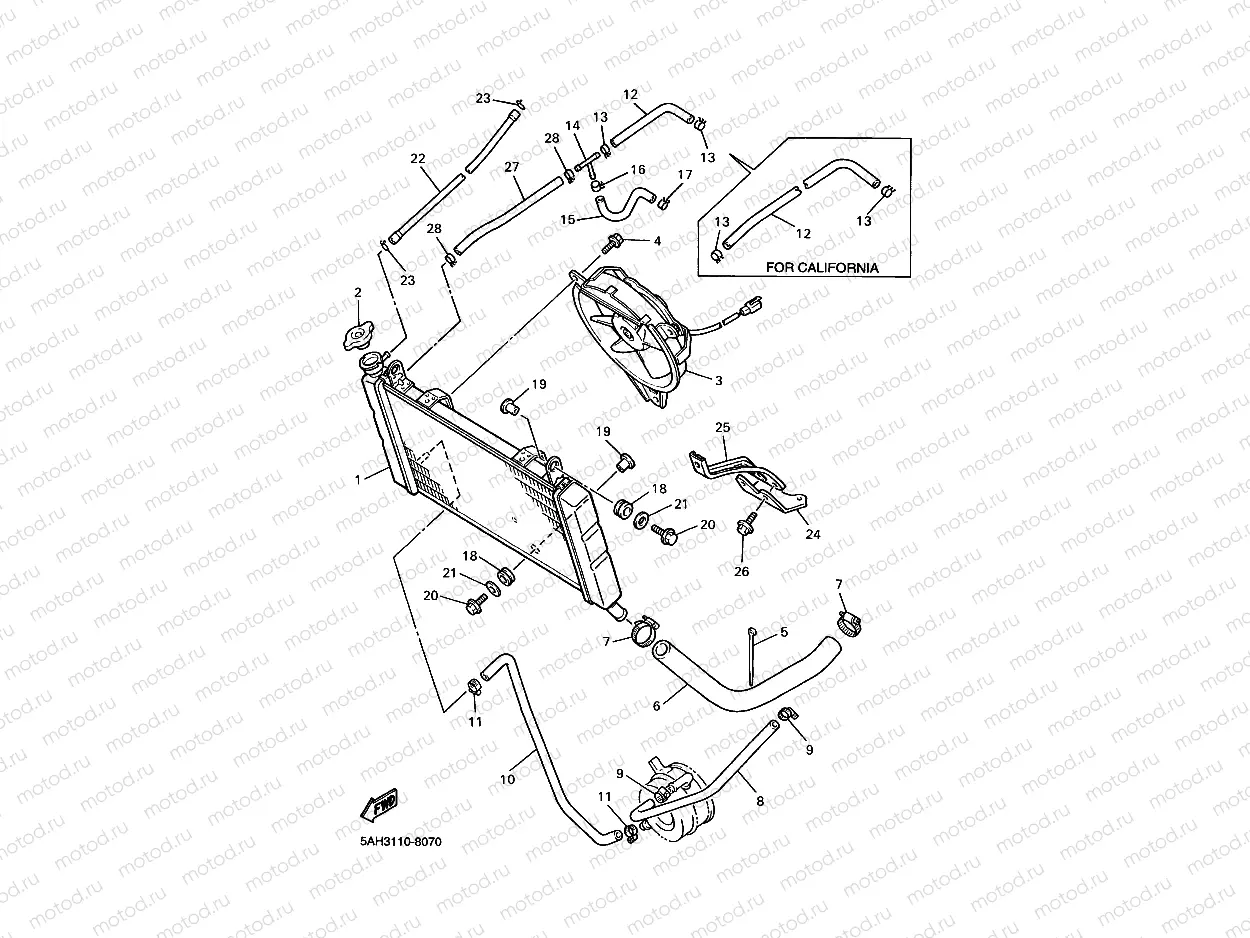 RADIATOR & HOSE