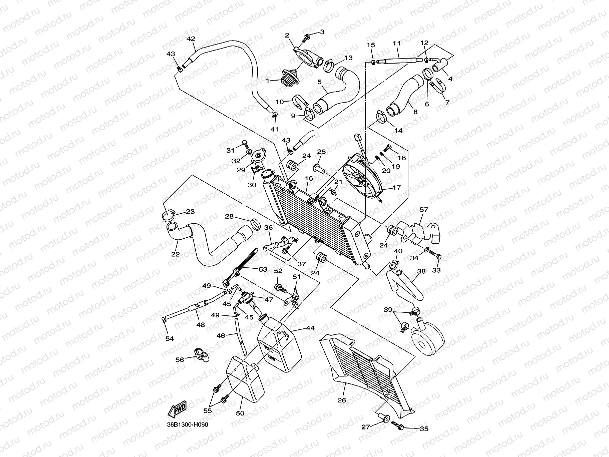 RADIATOR & HOSE