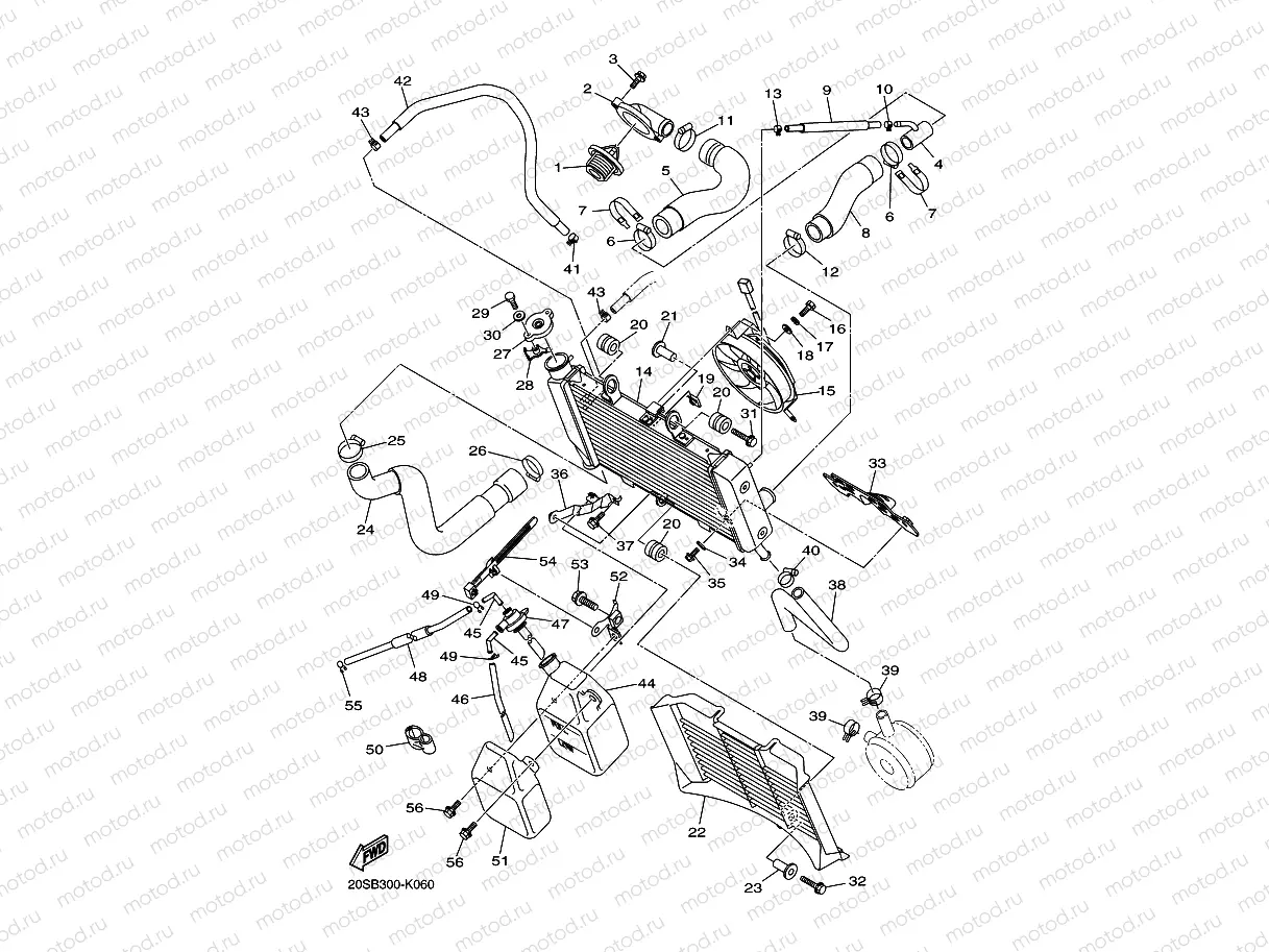 RADIATOR & HOSE