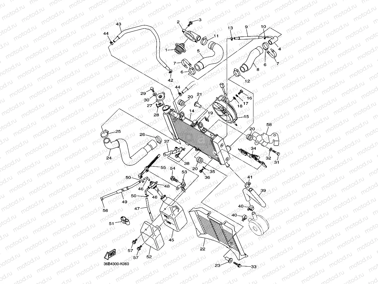RADIATOR & HOSE
