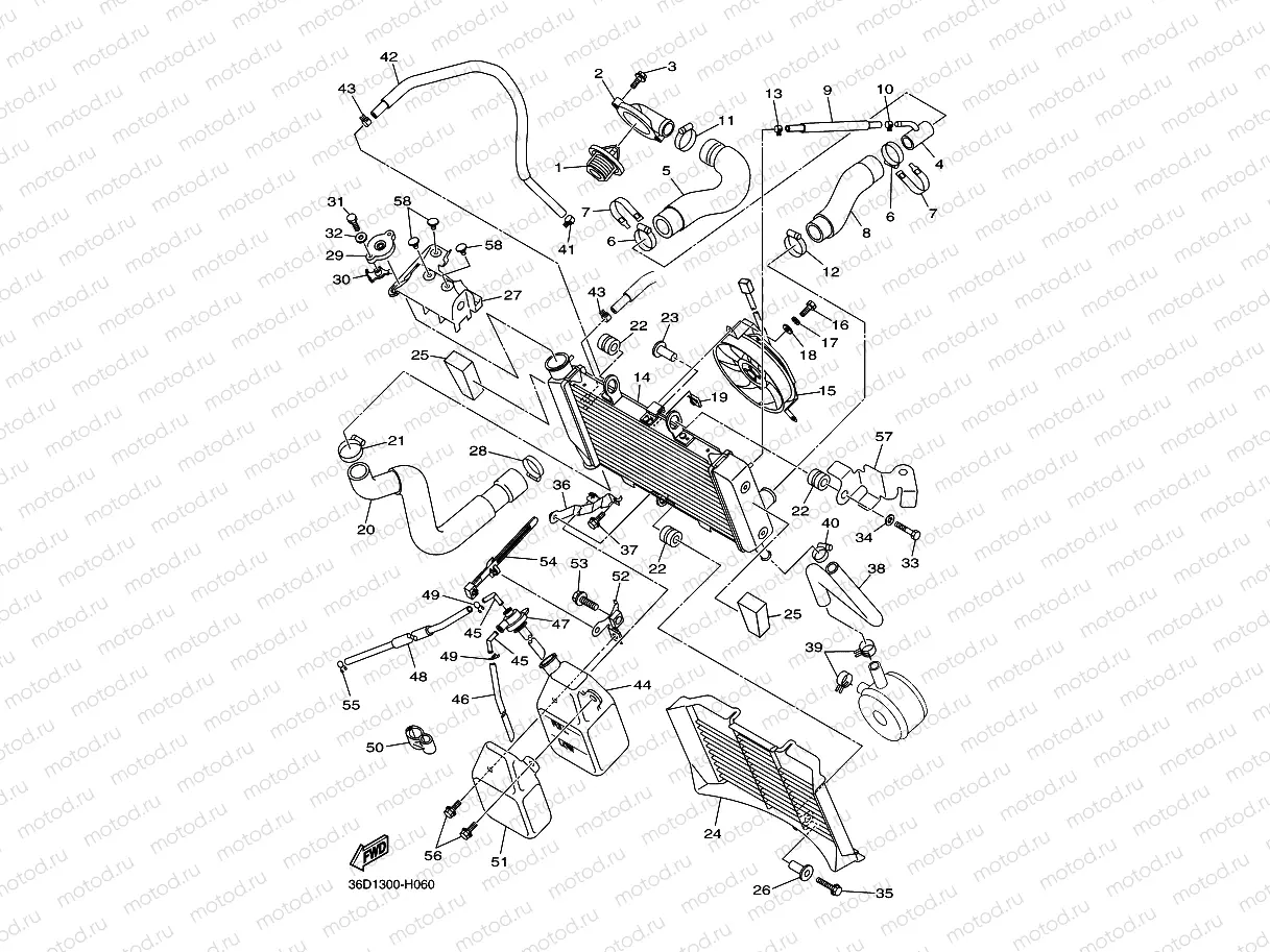 RADIATOR & HOSE