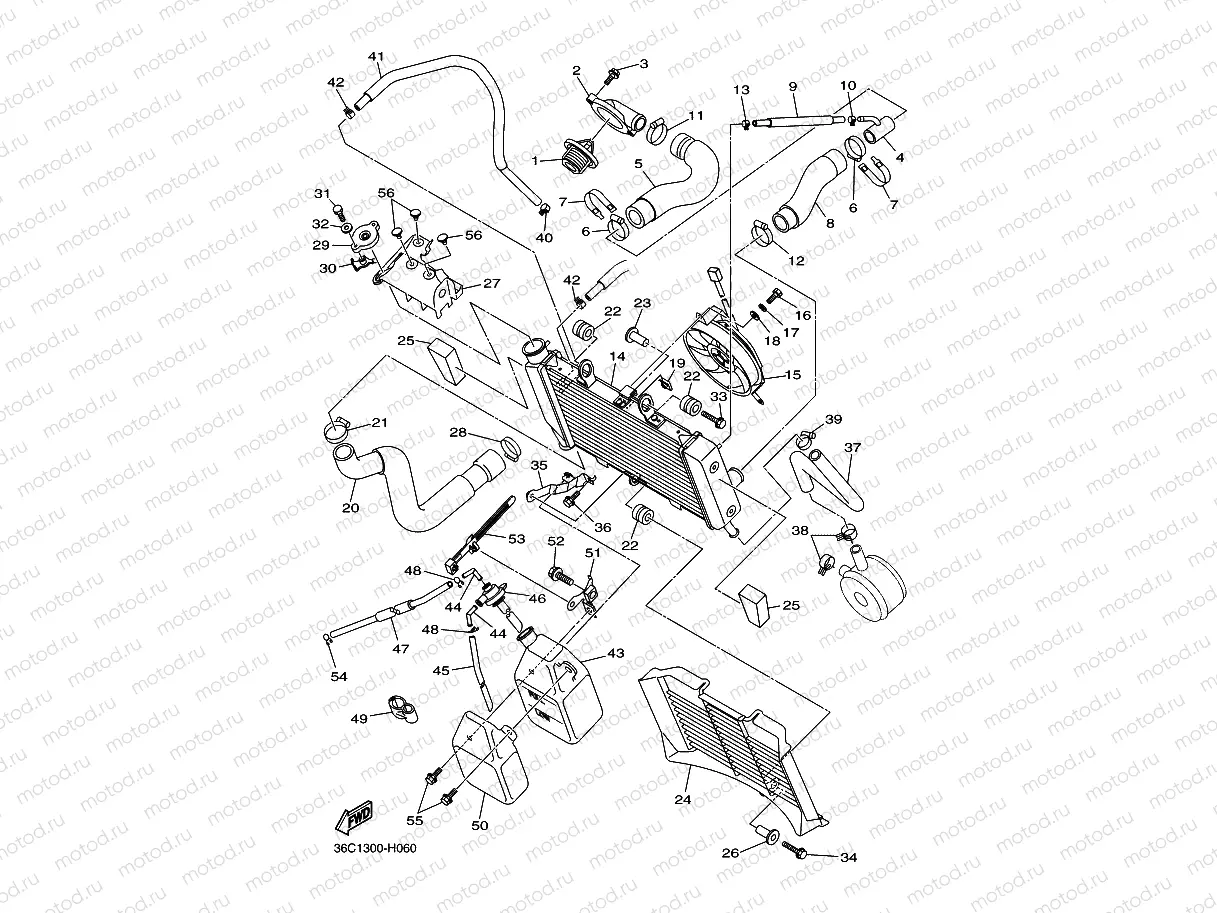 RADIATOR & HOSE