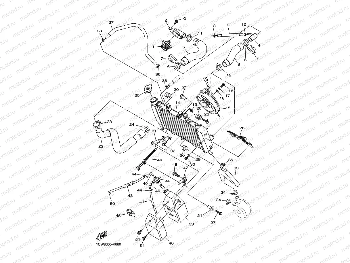 RADIATOR & HOSE