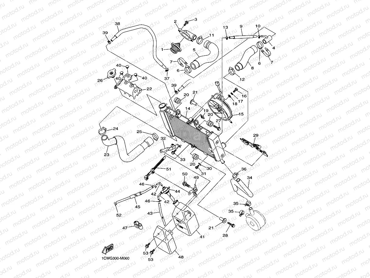 RADIATOR & HOSE