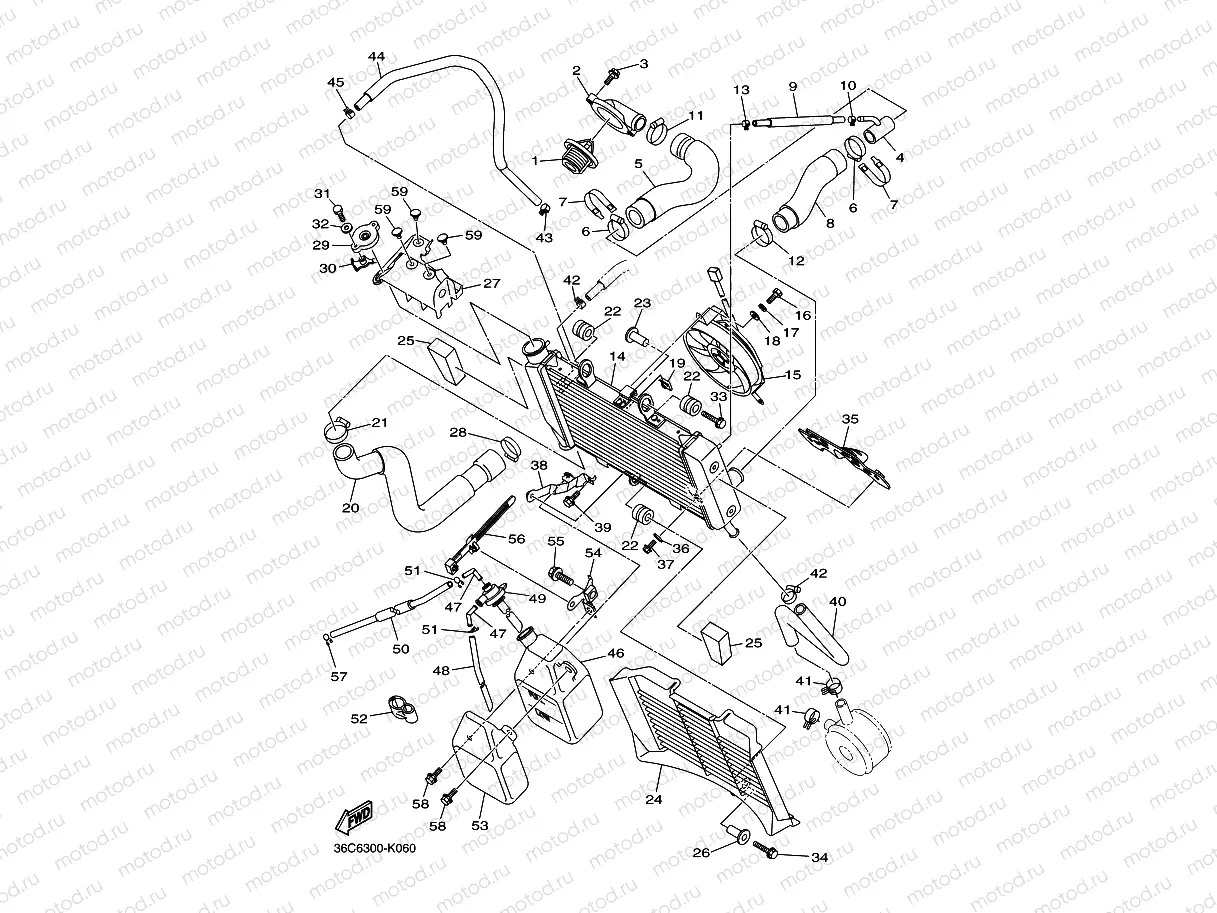 RADIATOR & HOSE