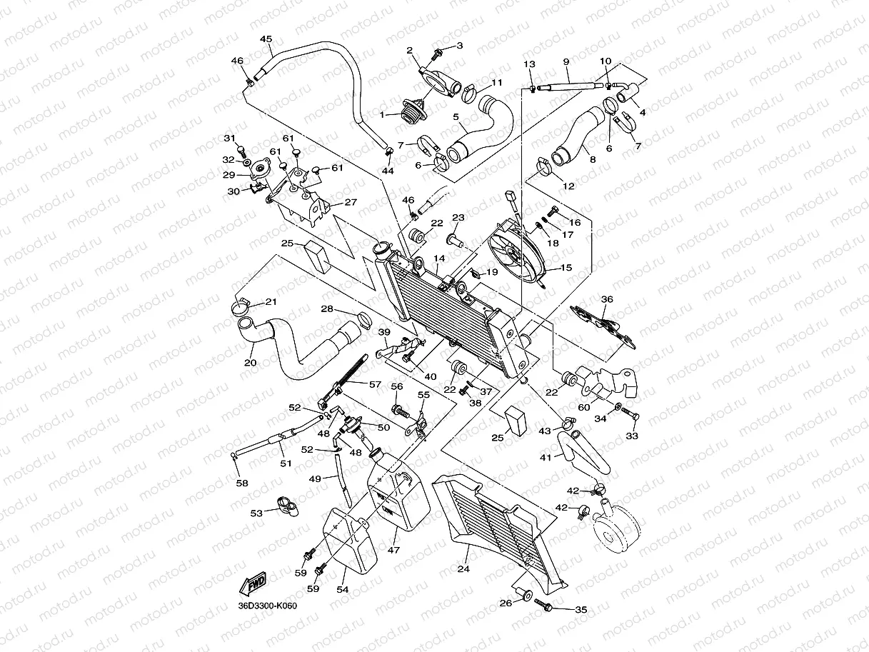 RADIATOR & HOSE