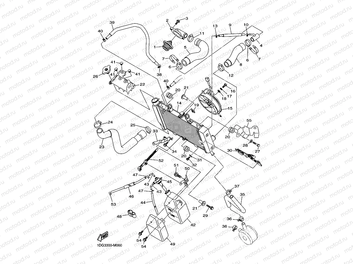 RADIATOR & HOSE