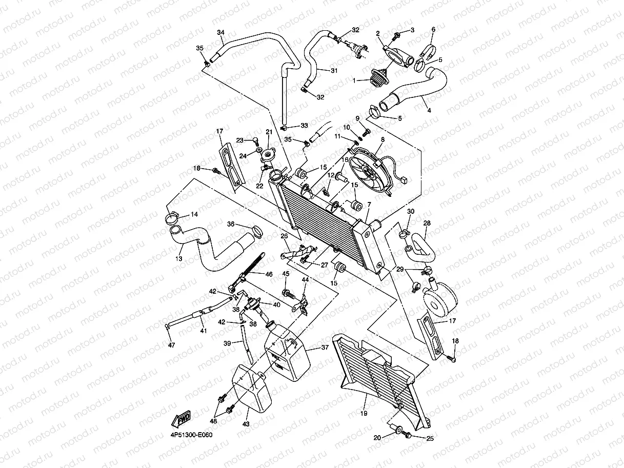 RADIATOR & HOSE