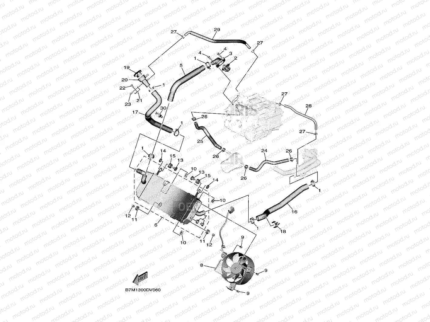 RADIATOR & HOSE