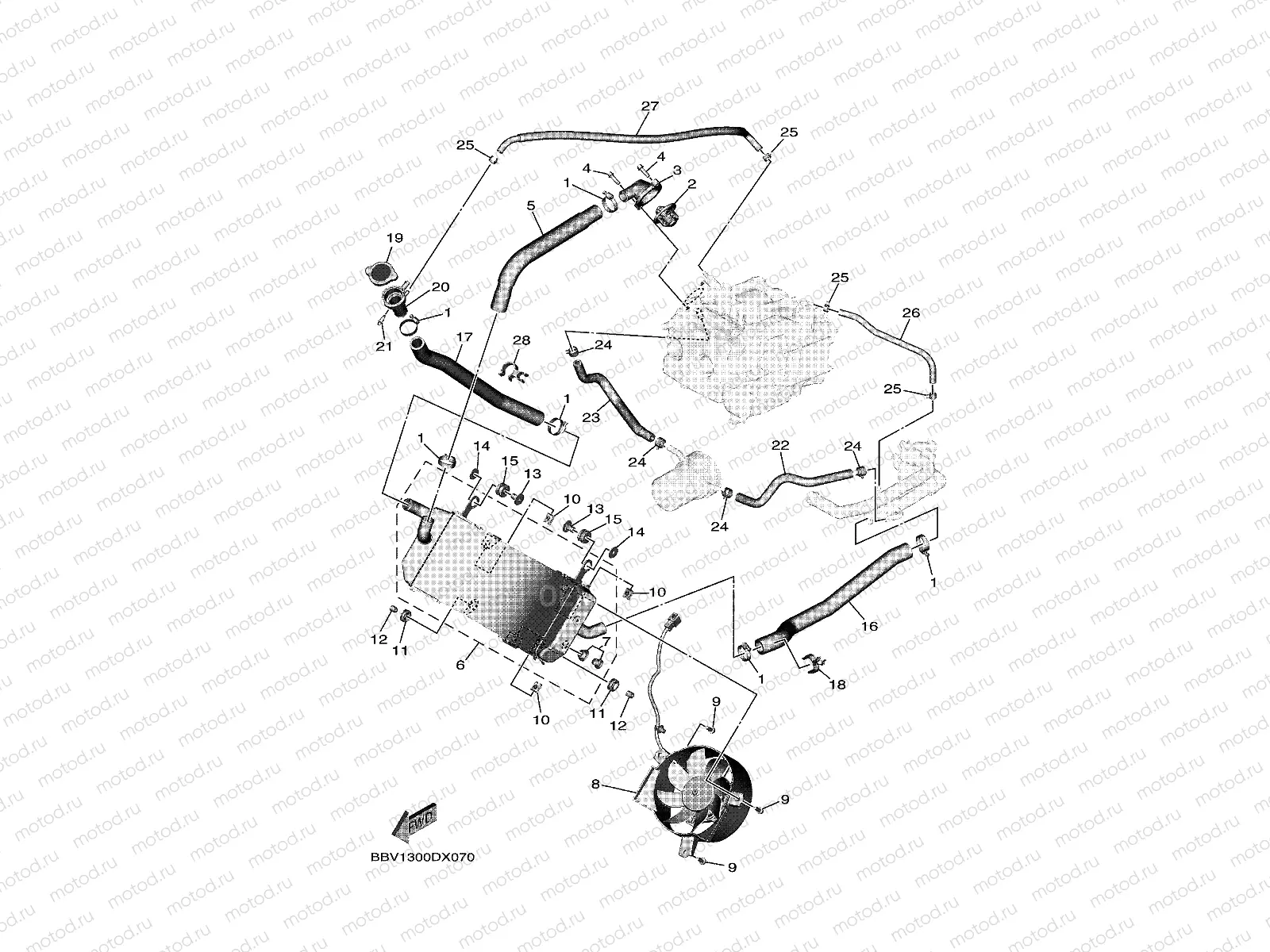 RADIATOR & HOSE