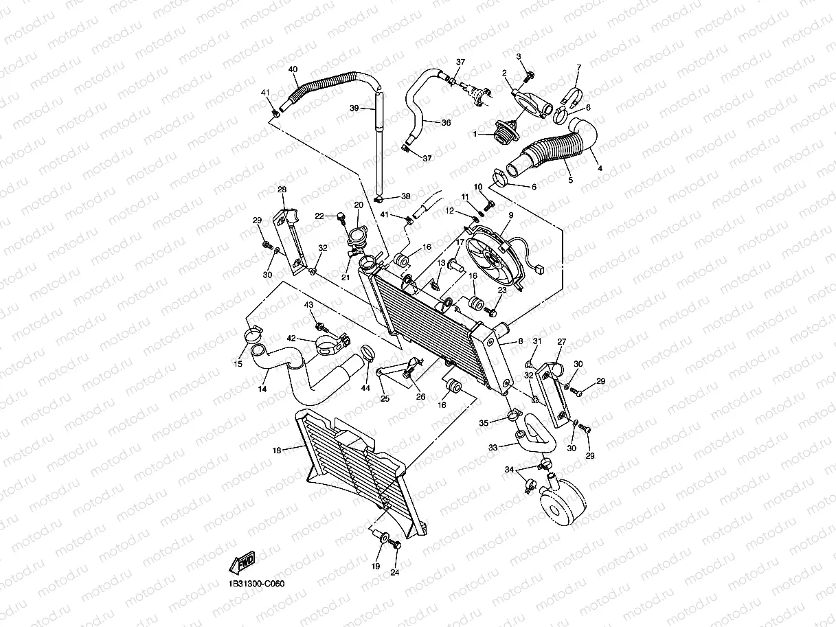RADIATOR & HOSE
