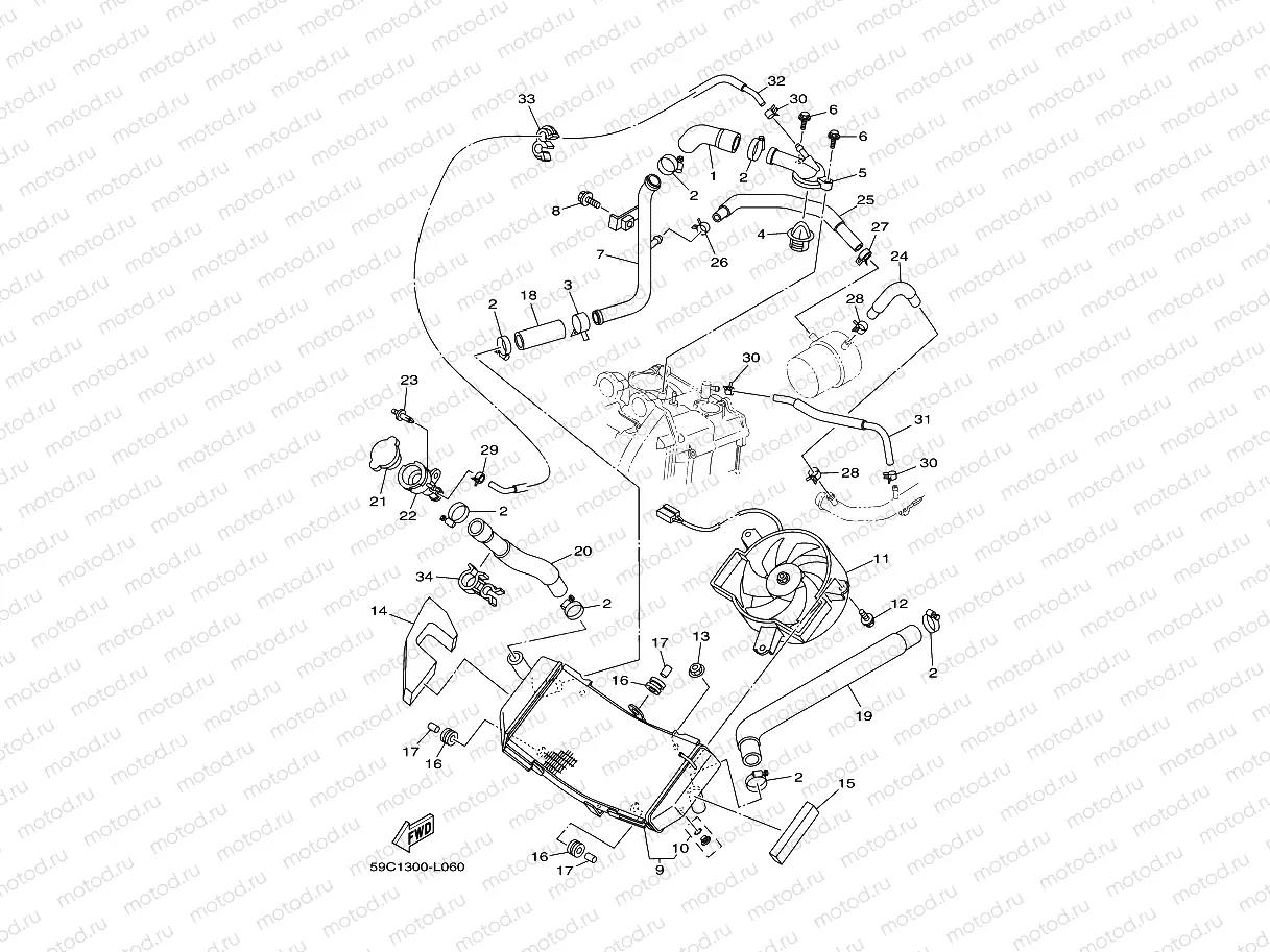 RADIATOR & HOSE