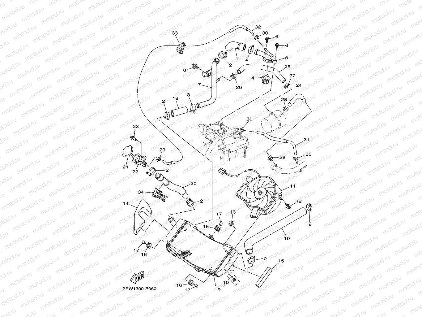 RADIATOR & HOSE