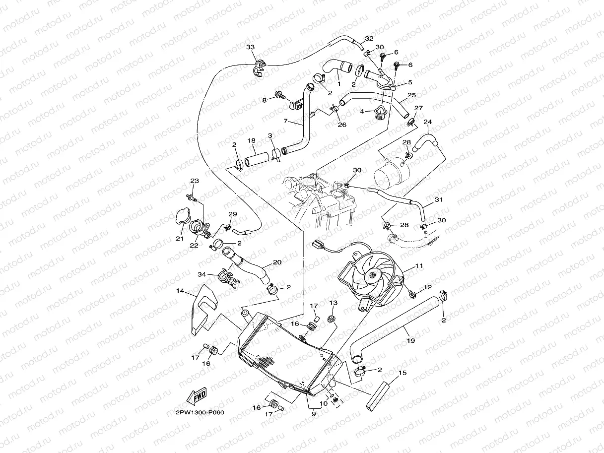 RADIATOR & HOSE