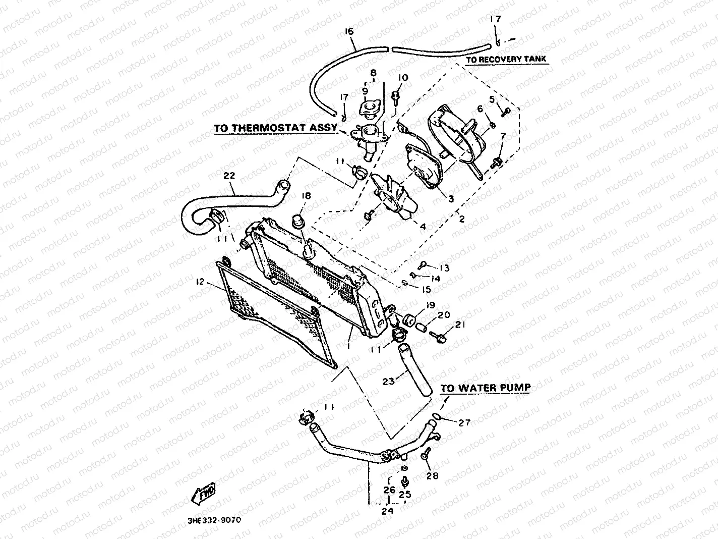 RADIATOR & HOSE