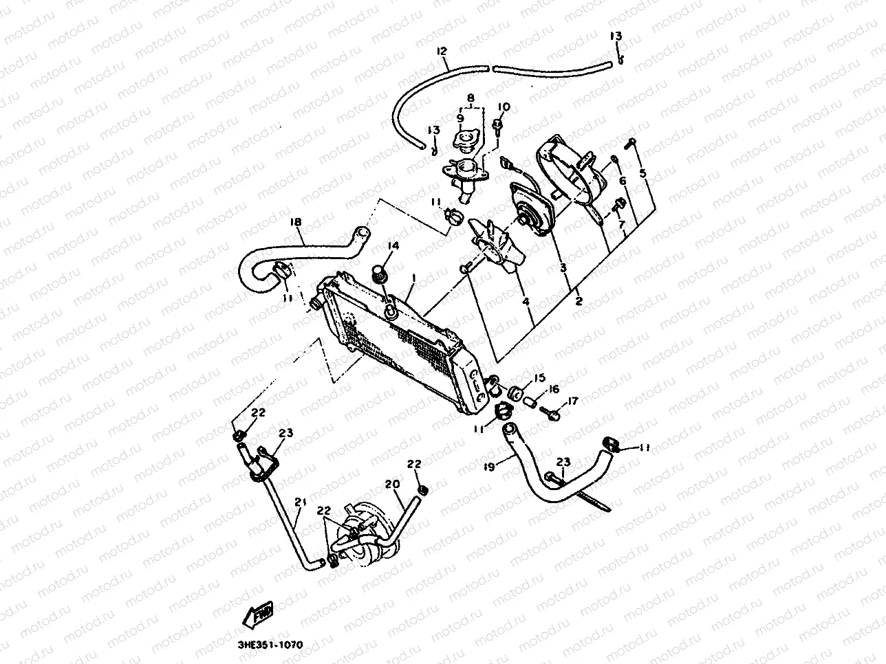 RADIATOR & HOSE