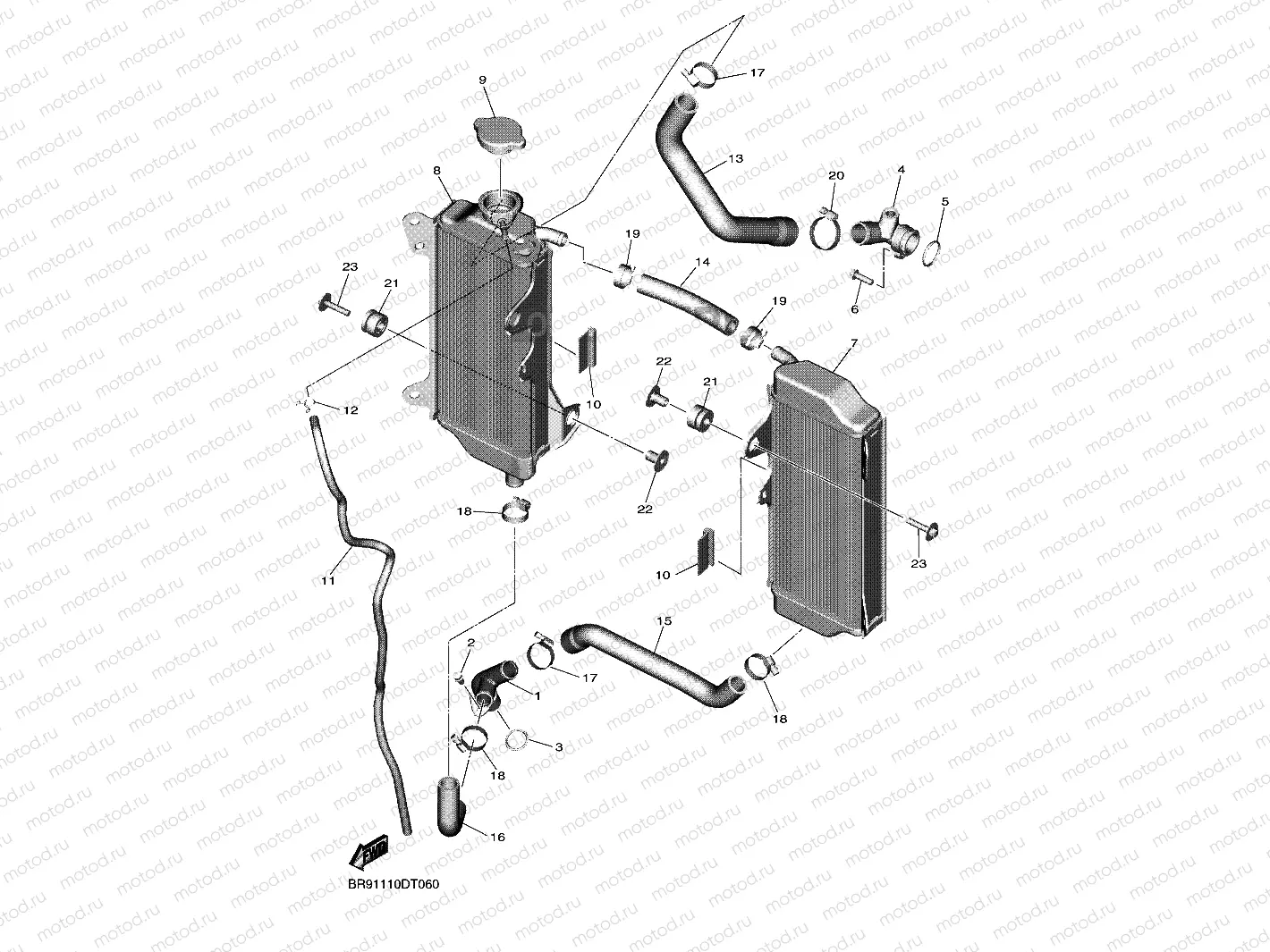 RADIATOR & HOSE