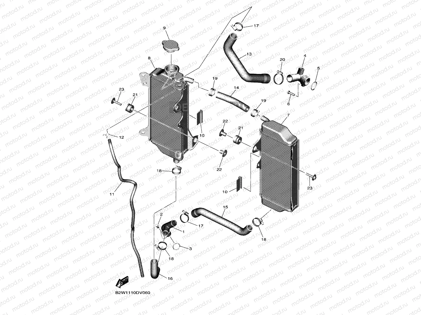 RADIATOR & HOSE