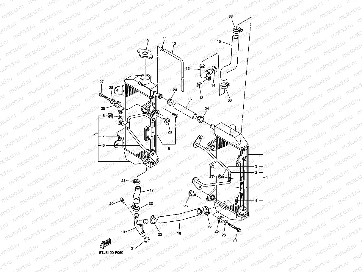 RADIATOR & HOSE