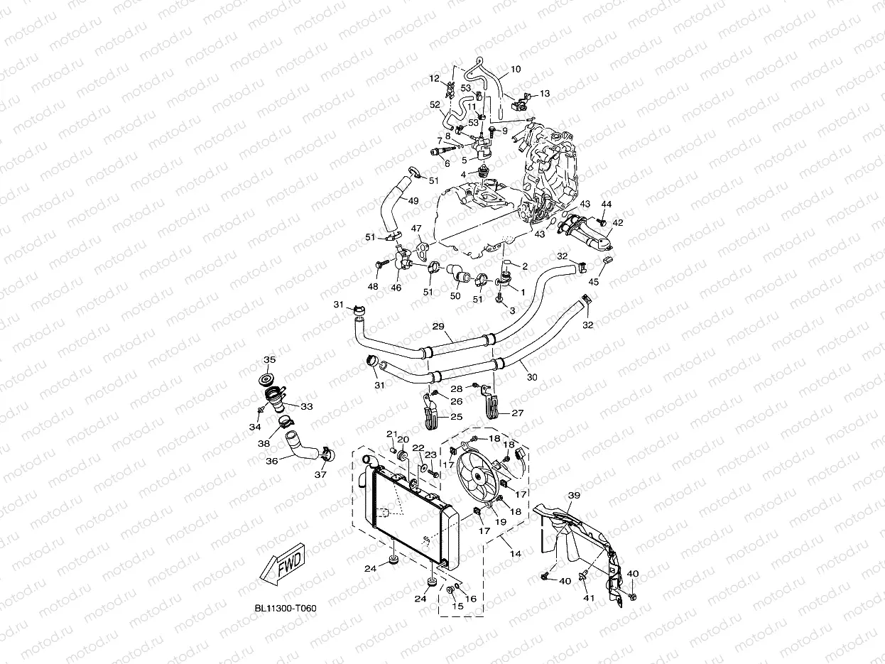 RADIATOR & HOSE
