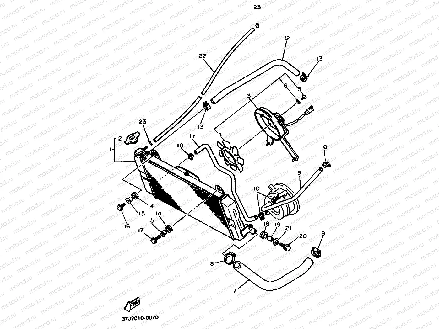 RADIATOR & HOSE