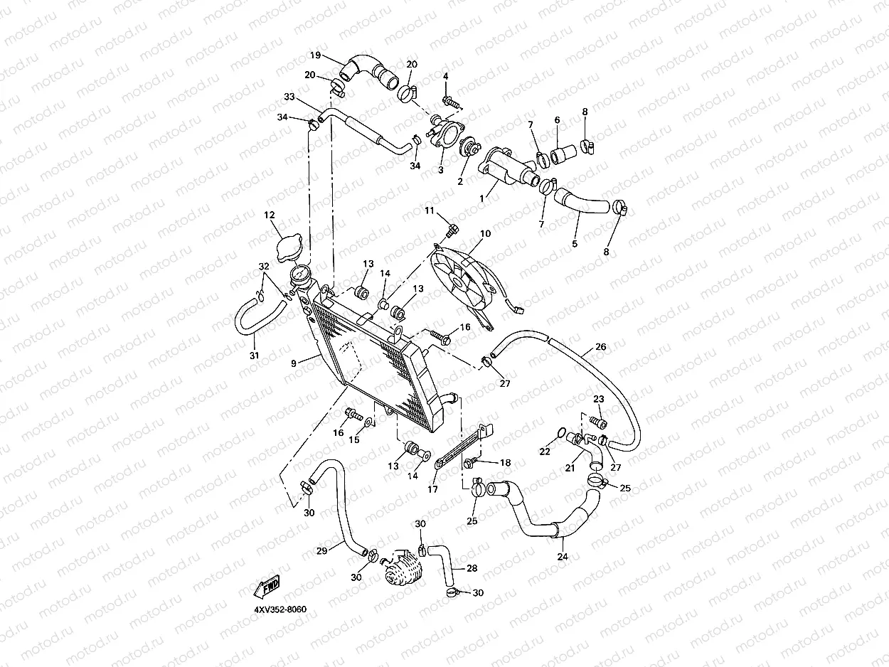 RADIATOR & HOSE