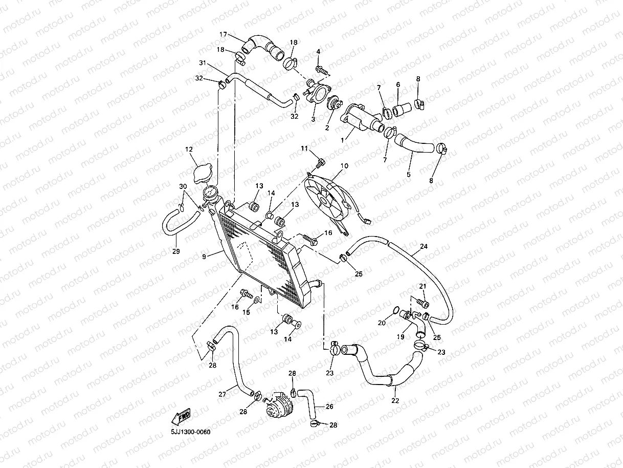 RADIATOR & HOSE