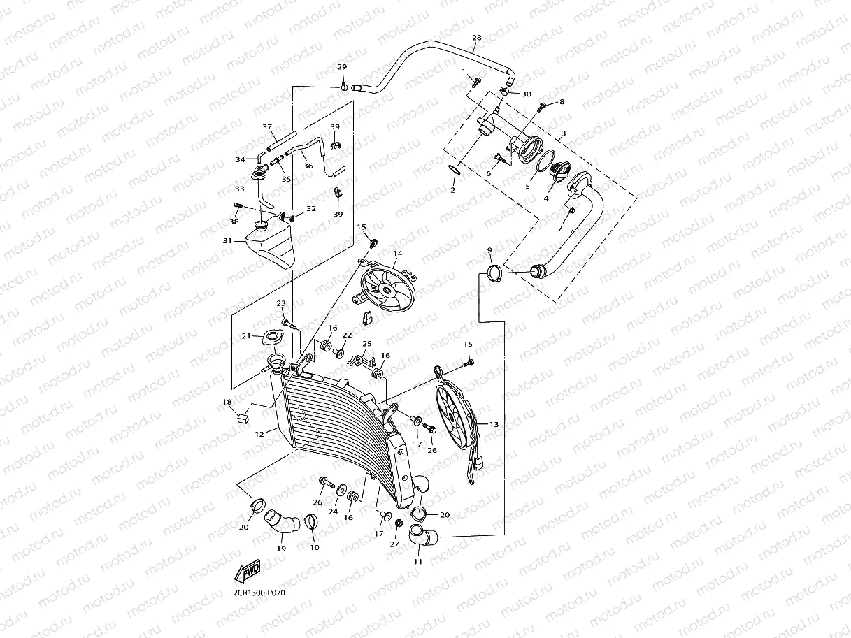 RADIATOR & HOSE