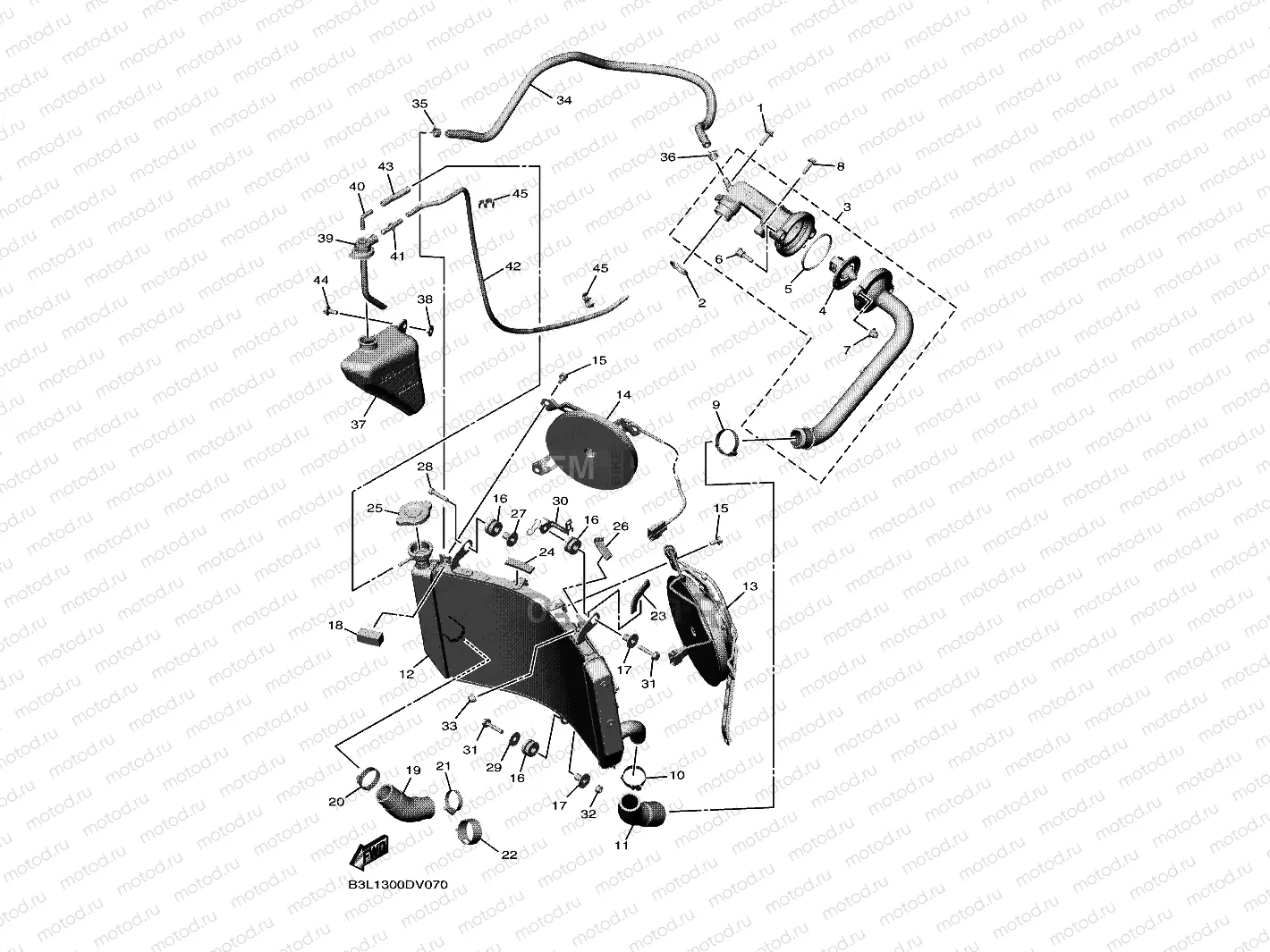 RADIATOR & HOSE