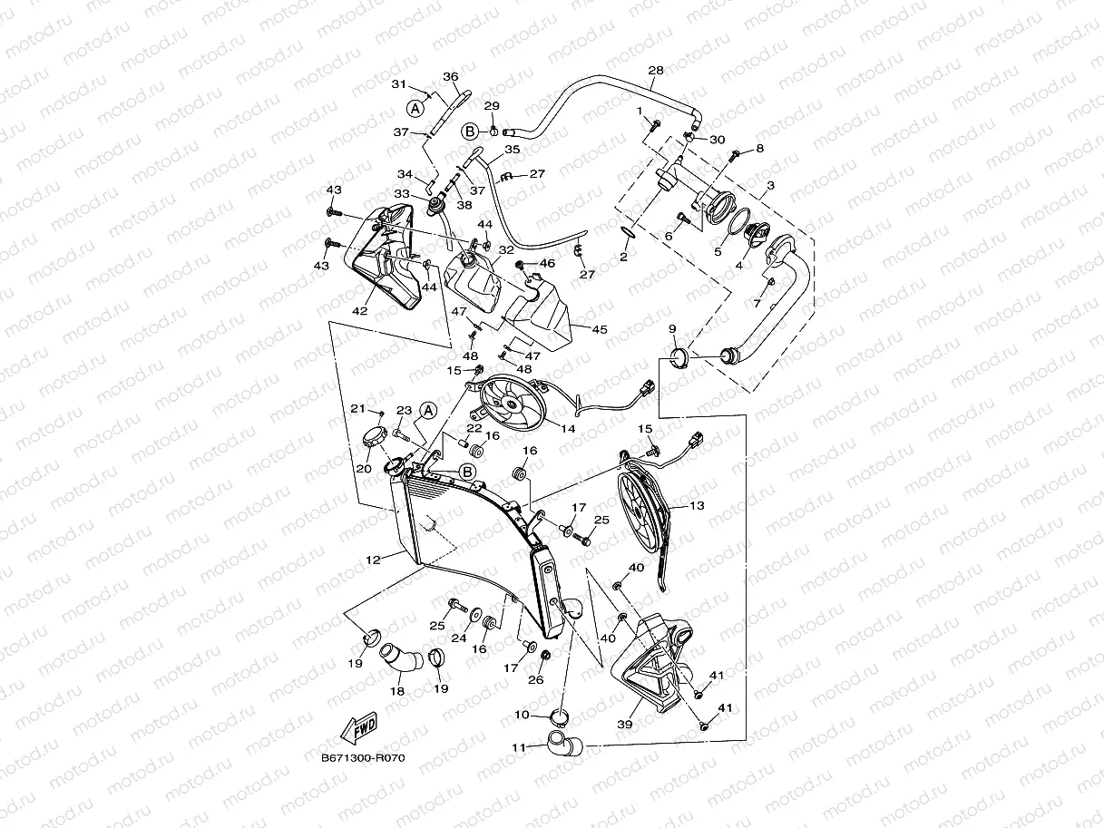 RADIATOR & HOSE