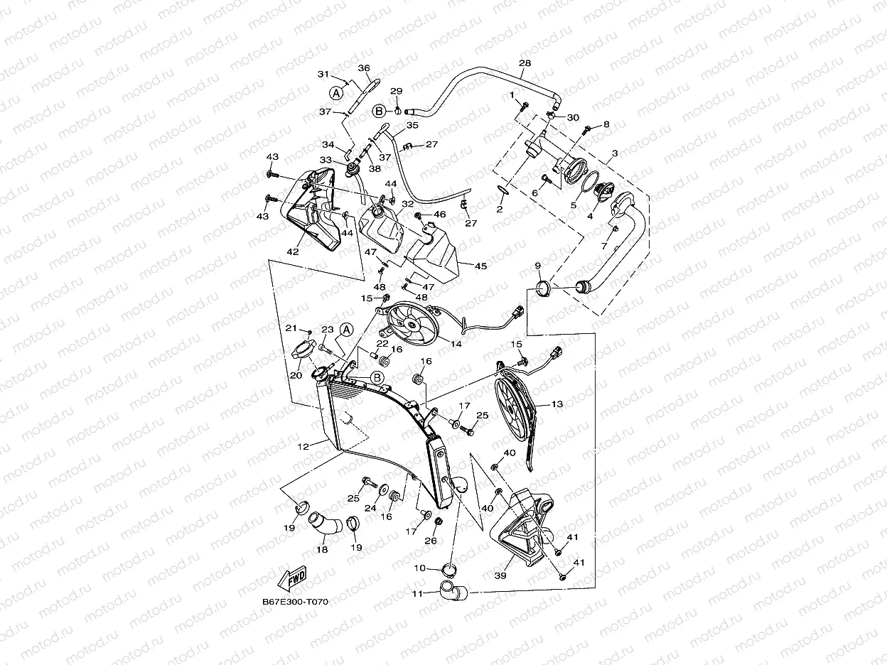 RADIATOR & HOSE