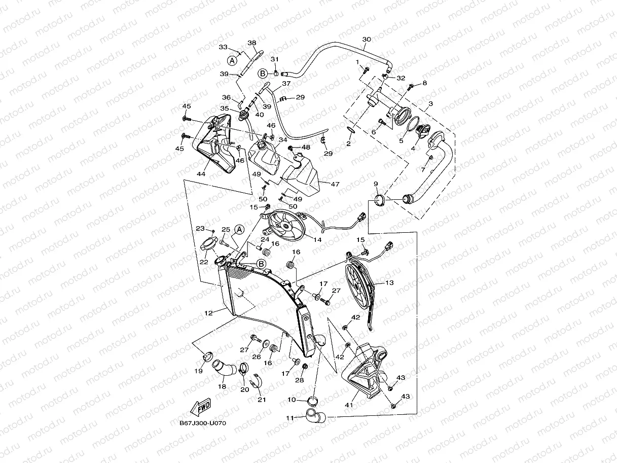RADIATOR & HOSE
