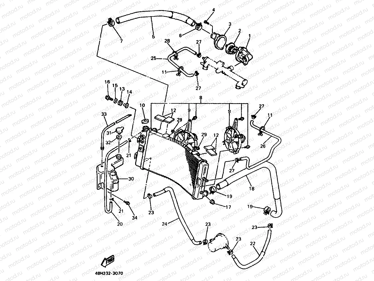RADIATOR & HOSE