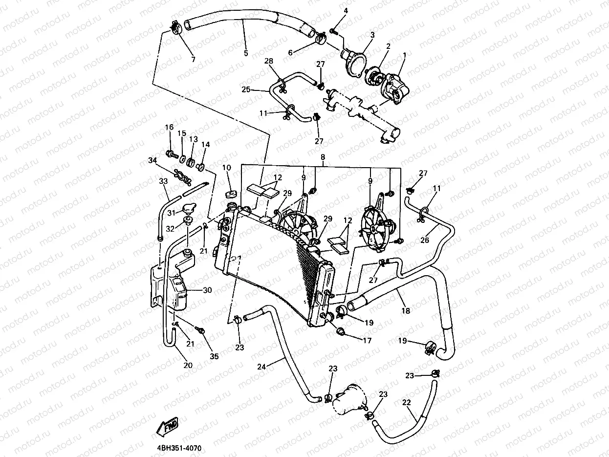 RADIATOR & HOSE