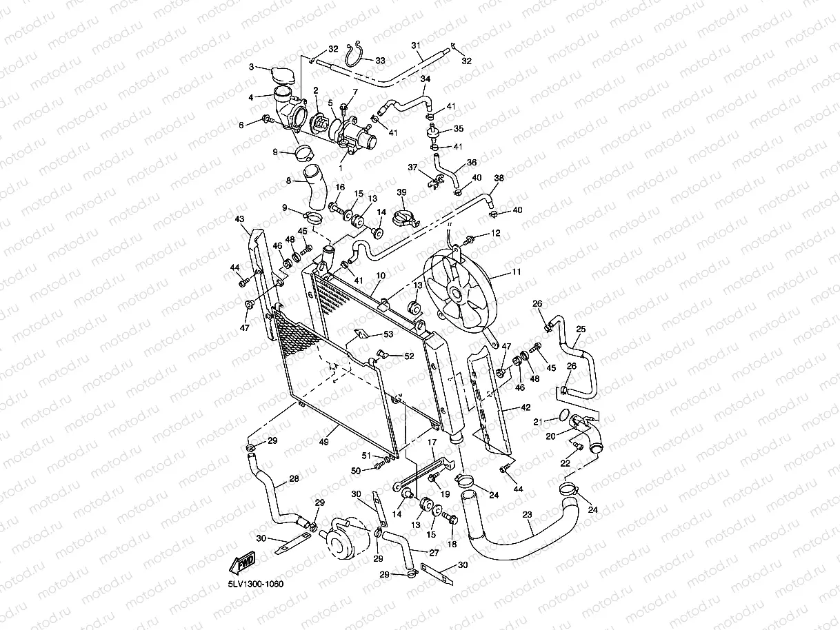 RADIATOR & HOSE