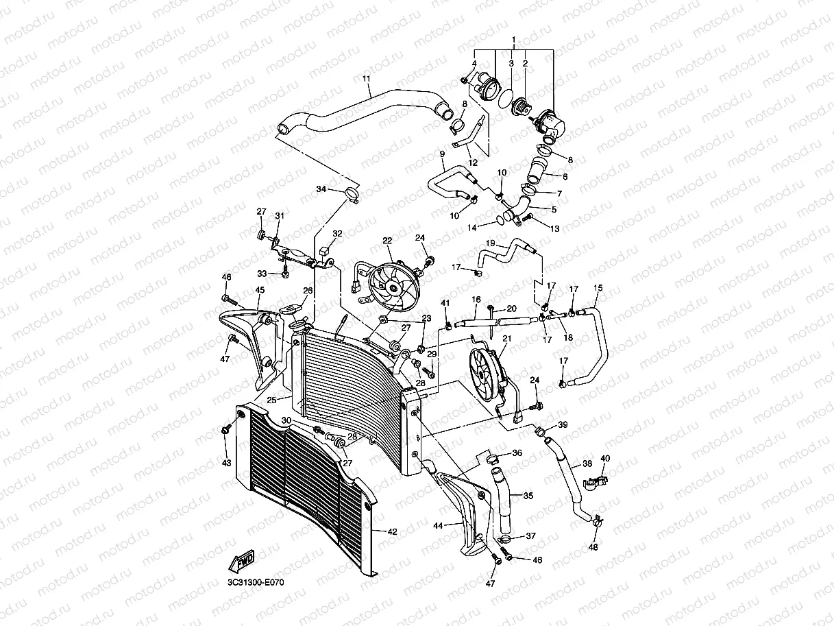 RADIATOR & HOSE
