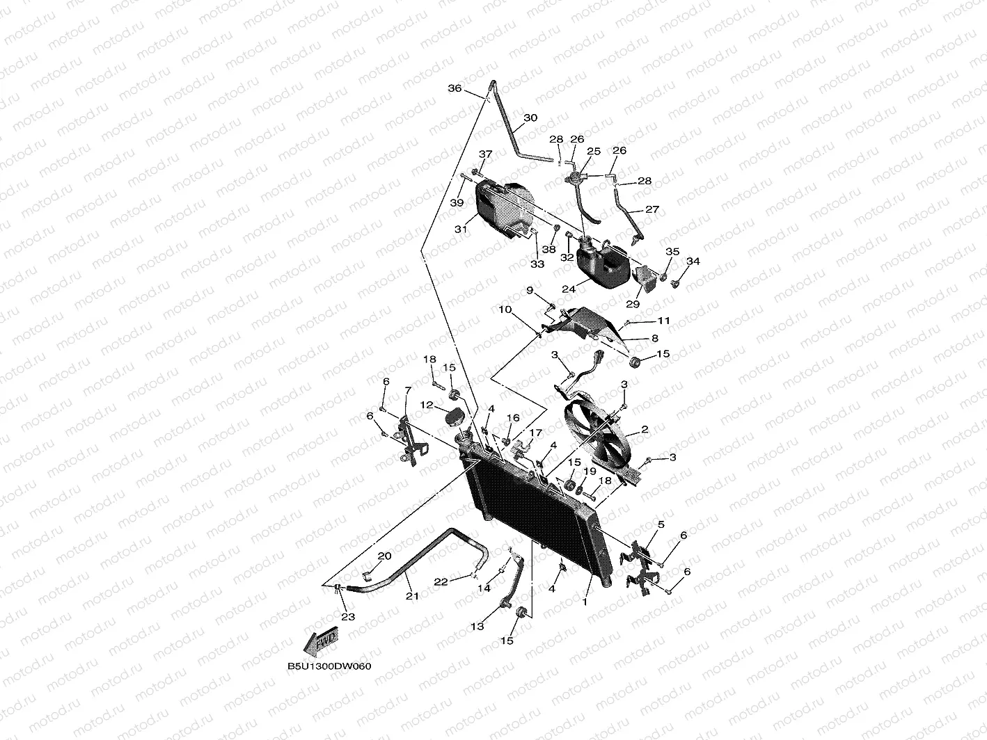 RADIATOR & HOSE