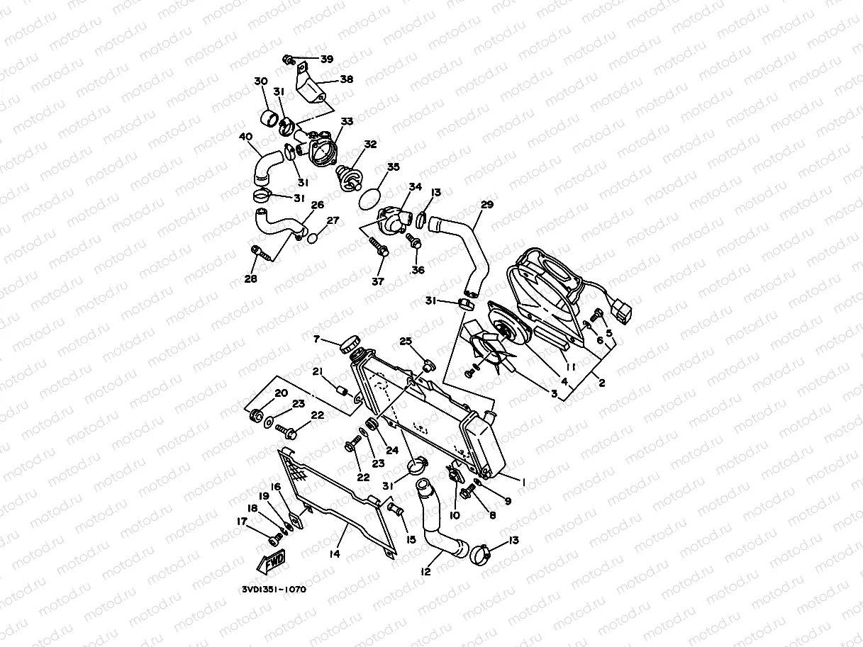 RADIATOR & HOSE