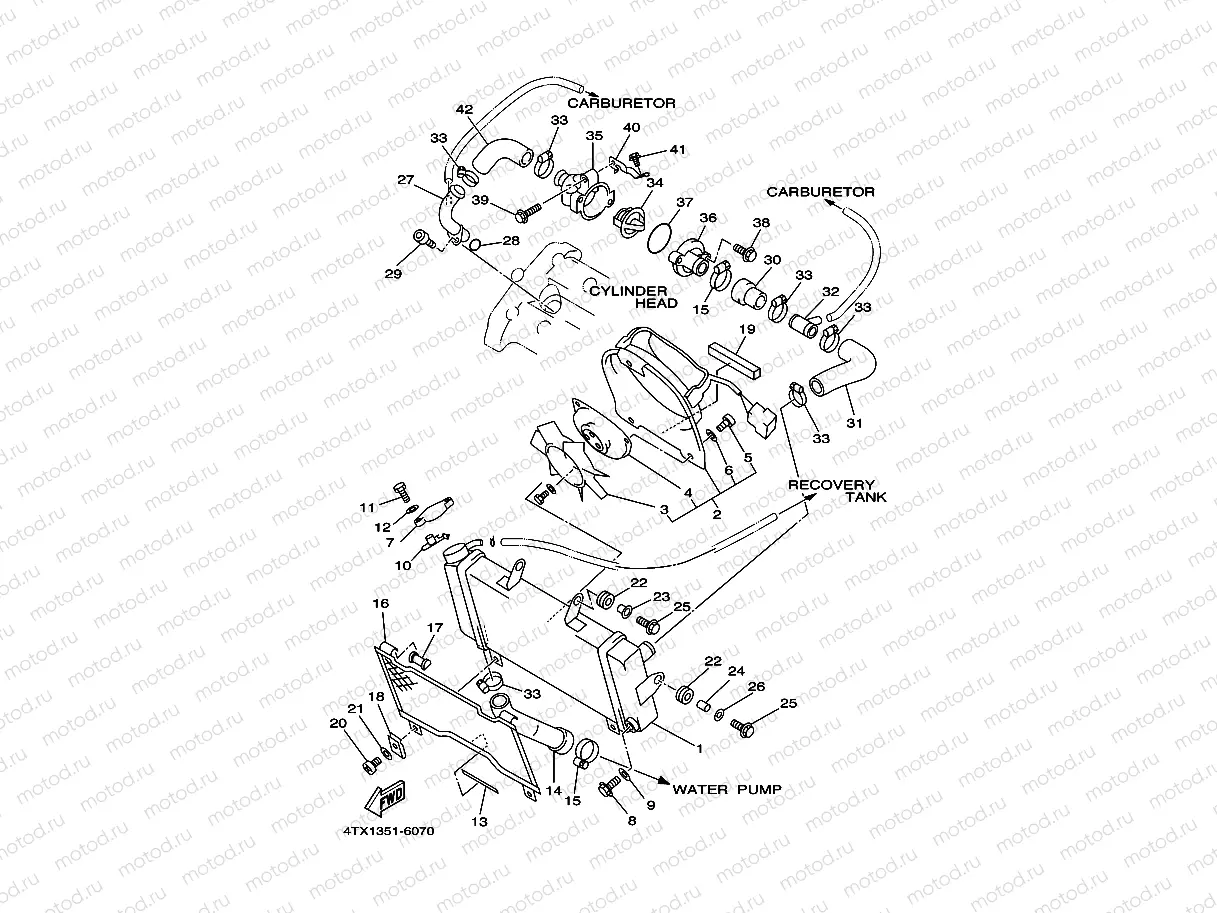 RADIATOR & HOSE