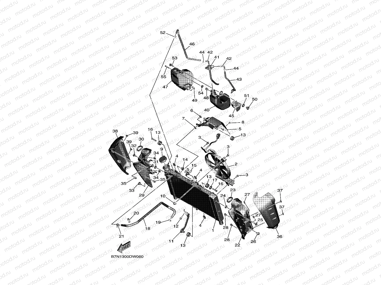 RADIATOR & HOSE